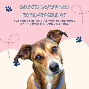 Beloved Companion Remembrance Kit for Dogs; Magnetic Frame, Fur Storage Ornament